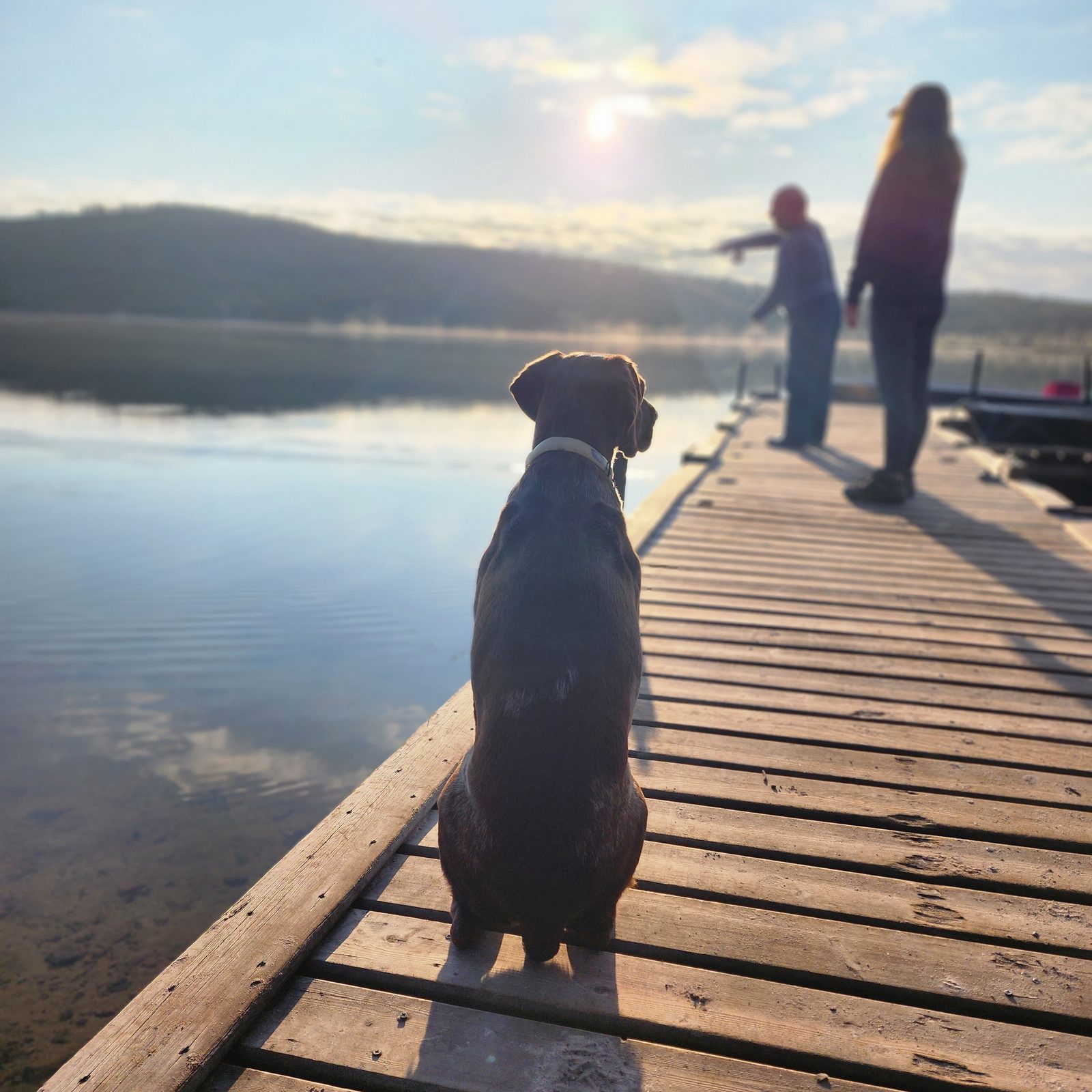 A dog sitting on the Plaisted Camps dock while guests cast into Russell Lake on a calm morning