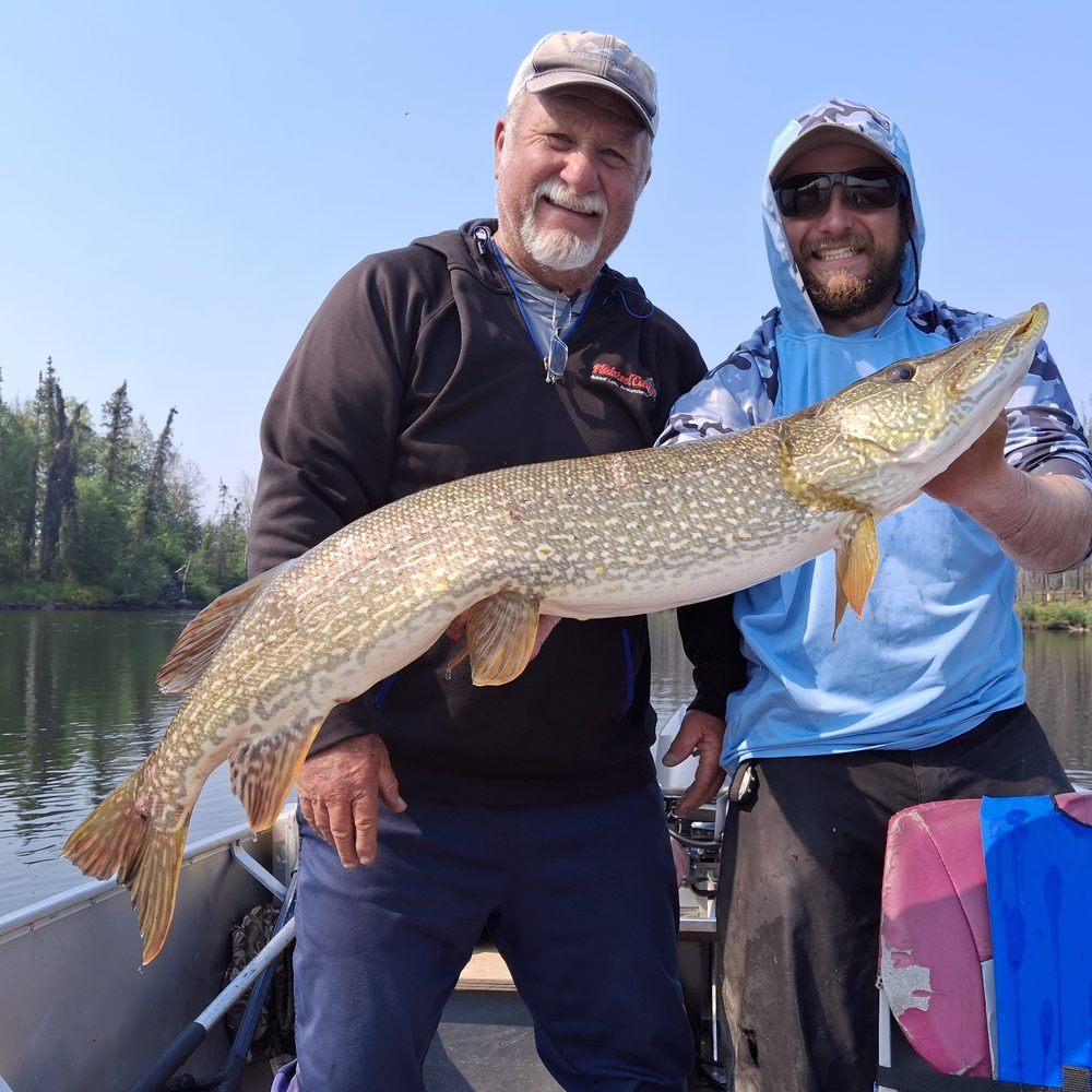 Two anglers holding a big northern pike in a boat in northern Saskatchewan